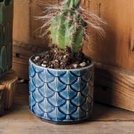 Azure Plume Planter