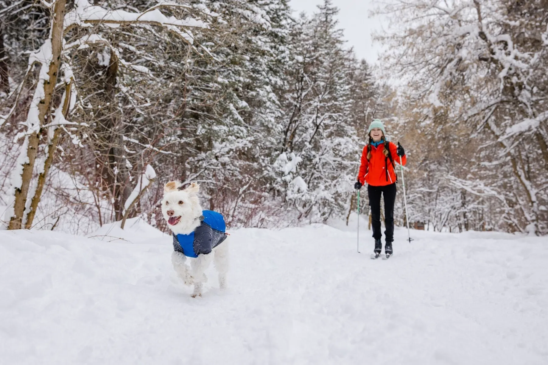 Ruffwear Powder Hound - Orange Large (Customer Return)