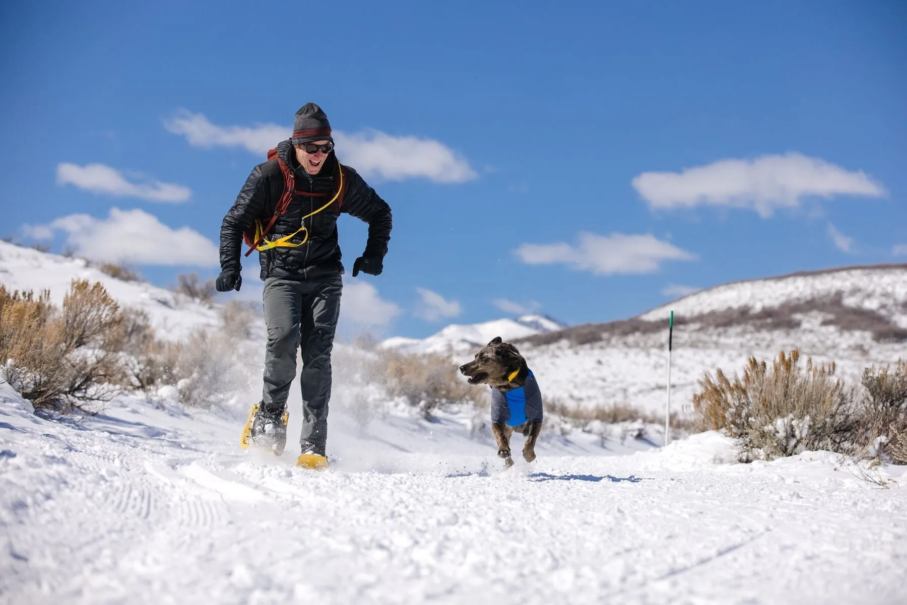 Ruffwear Powder Hound - Orange Large (Customer Return)